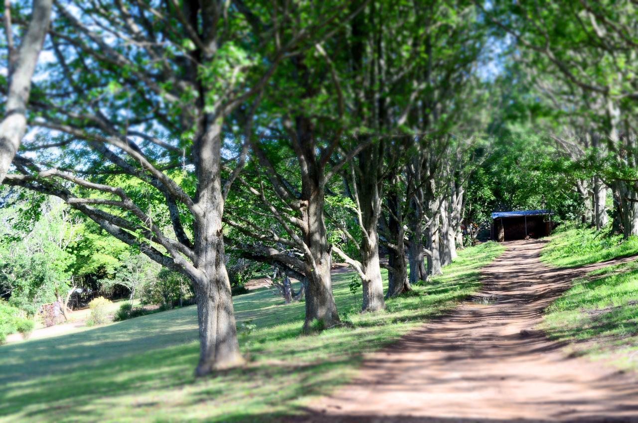 Villa Phezulu Safari Park Botha's Hill Esterno foto