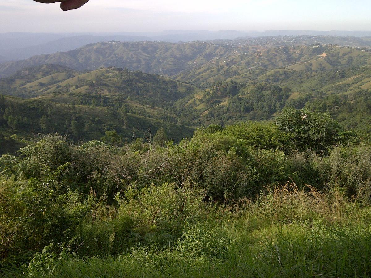 Villa Phezulu Safari Park Botha's Hill Esterno foto
